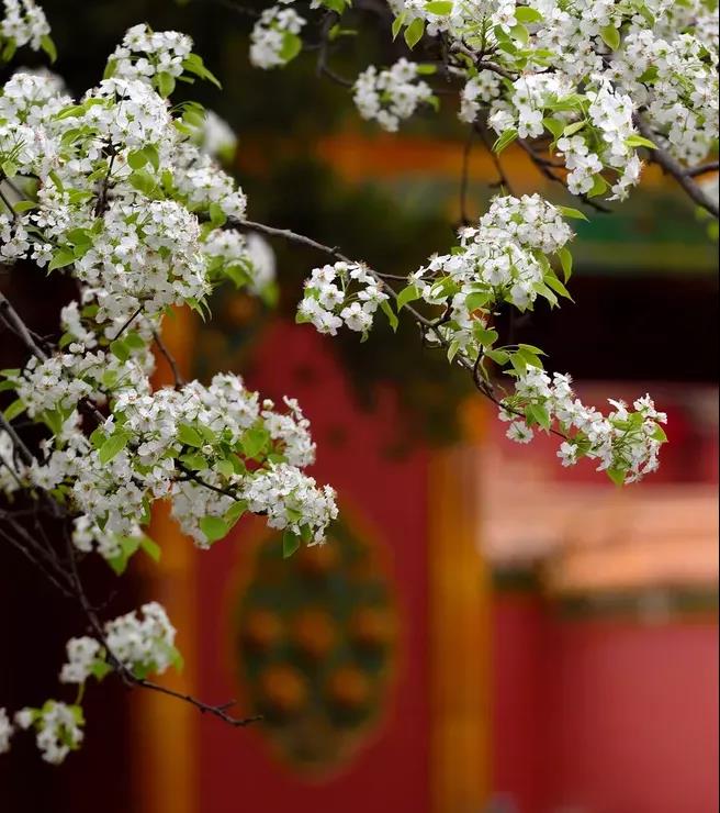 首页| DB真人旗舰集团中国官方网站