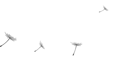 首页| DB真人旗舰集团中国官方网站