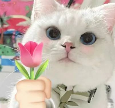 首页| DB真人旗舰集团中国官方网站