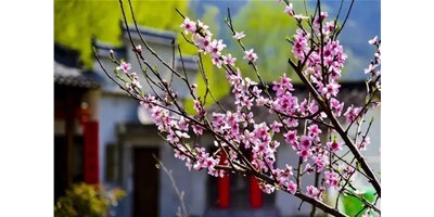 阳春三月，DB真人旗舰精机一大波展会即未来袭，您准备好了吗？？